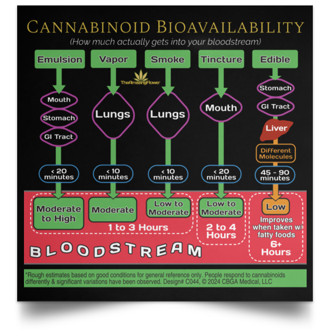 2024 Cannabinoid Bioavailability Poster – TheAmazingFlower.com, CBGA ...