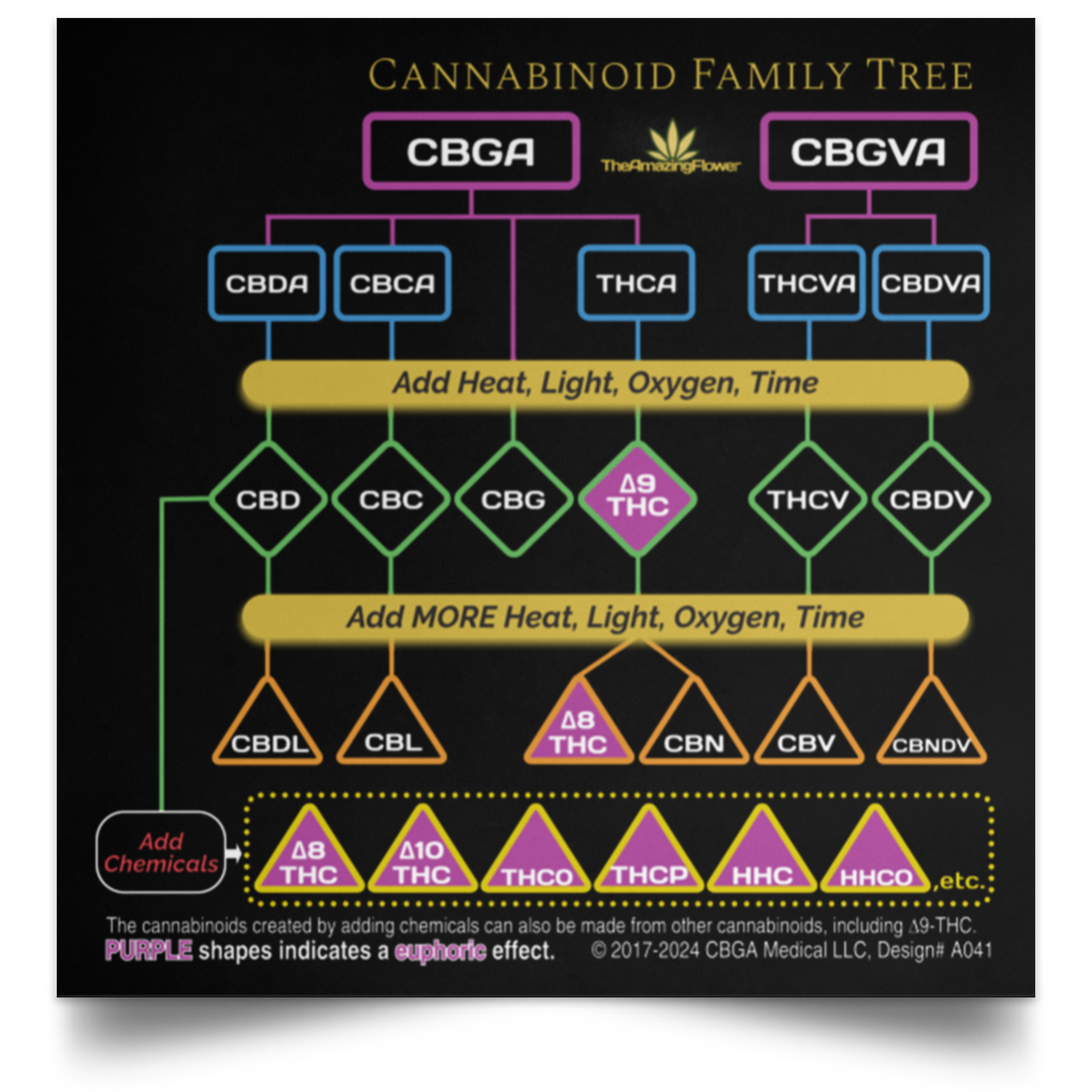 Cannabinoid Family Tree Poster TheAmazingFlower CBGA Medical LLC cannabinoid-family-tree-poster-theamazingflower-cbga-medical-llc