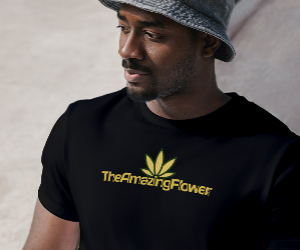 Man looking to his left while wearing a gold TheAmazingFlower.com logo on a black t-shirt