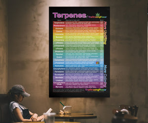 Woman reading a book in a coffee shop with a Terpenes of The Amazing Flower poster on the wall next to her
