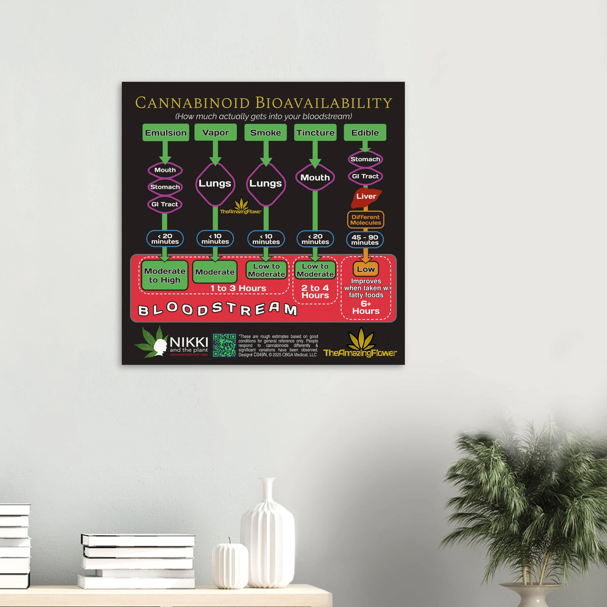 Cannabinoid Bioavailability Poster 2025 - Nikki and the Plant ...