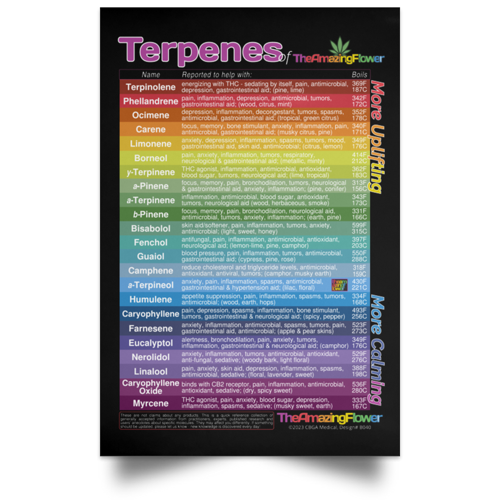 Cannabis Terpenes Poster includes 23 terpenes where red, orange, and yellow colors represent 'more uplifting" effects while green, blue, and purple colors represent 'more calming' effects