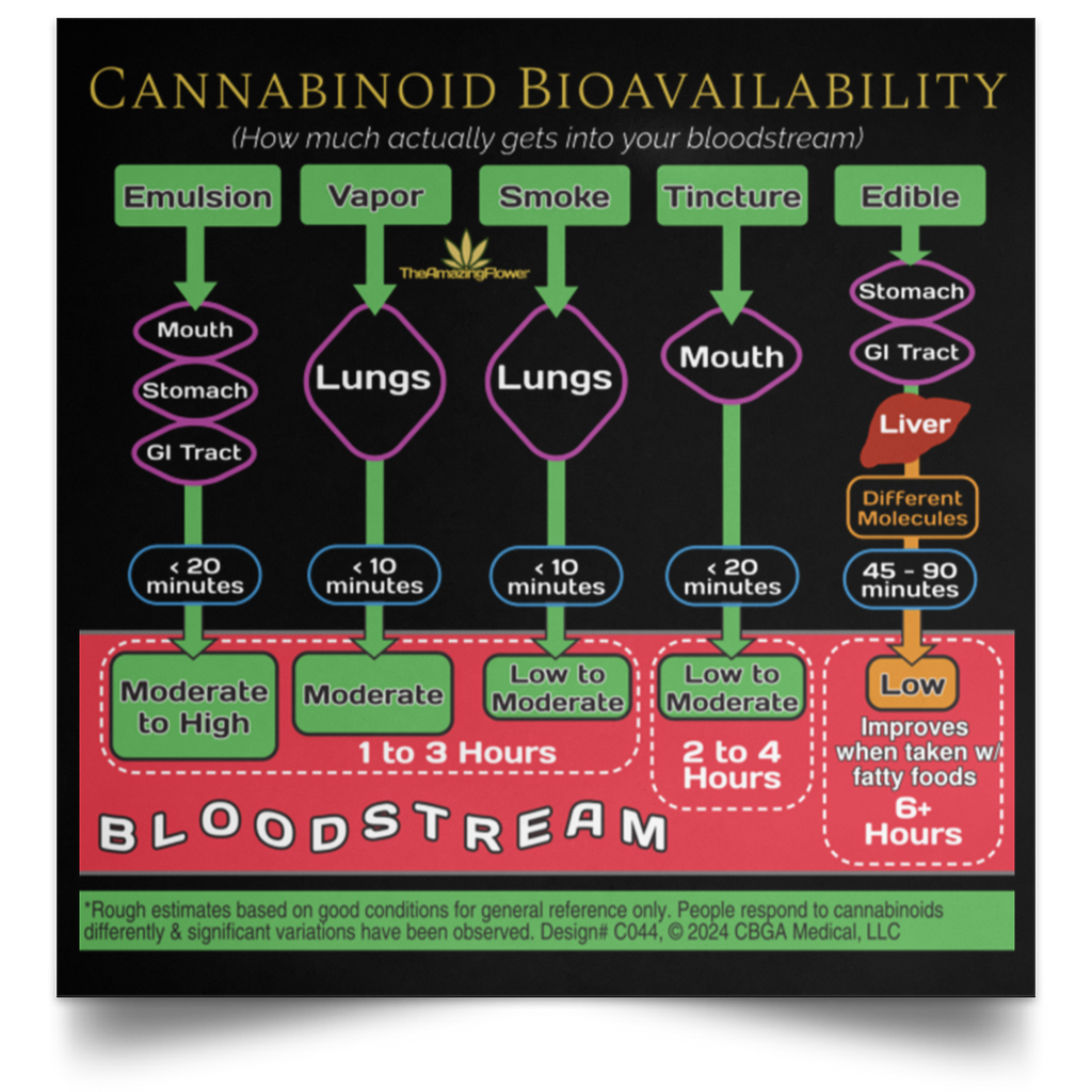 Poster has a black background. It shows in a colorful flowchart format: The process of where the cannabinoids are absorbed, how long it takes, and the rough estimates of the relative amounts that make it into the bloodstream.