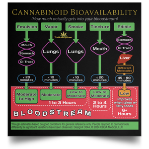 Open image in slideshow, Poster has a black background. It shows in a colorful flowchart format: The process of where the cannabinoids are absorbed, how long it takes, and the rough estimates of the relative amounts that make it into the bloodstream.
