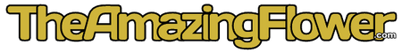 TheAmazingFlower.com text logo in 'old gold' color