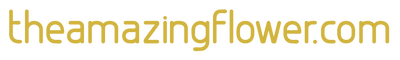 TheAmazingFlower.com, CBGA Medical LLC