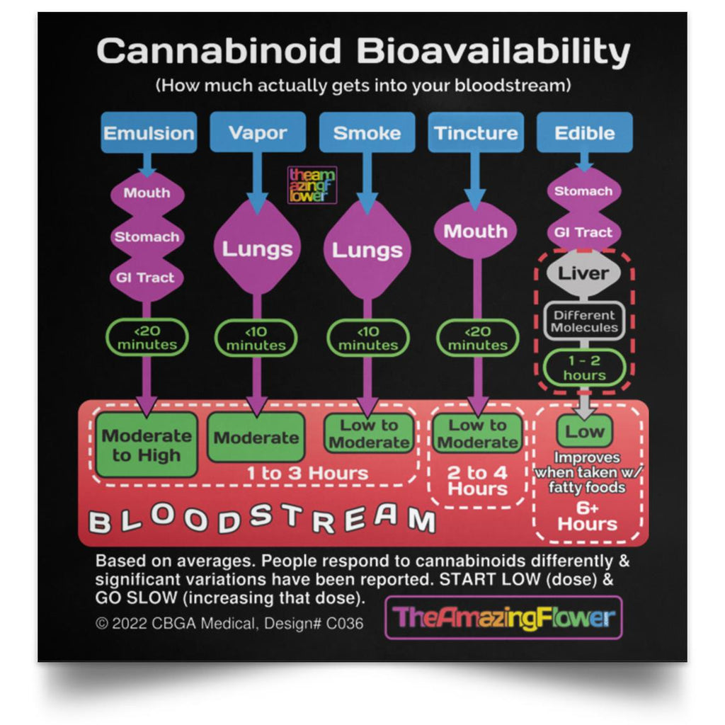 Cannabinoid Bioavailability Poster in 3 sizes